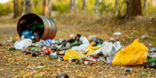 The Impact of Illegal Dumping - WCCTV